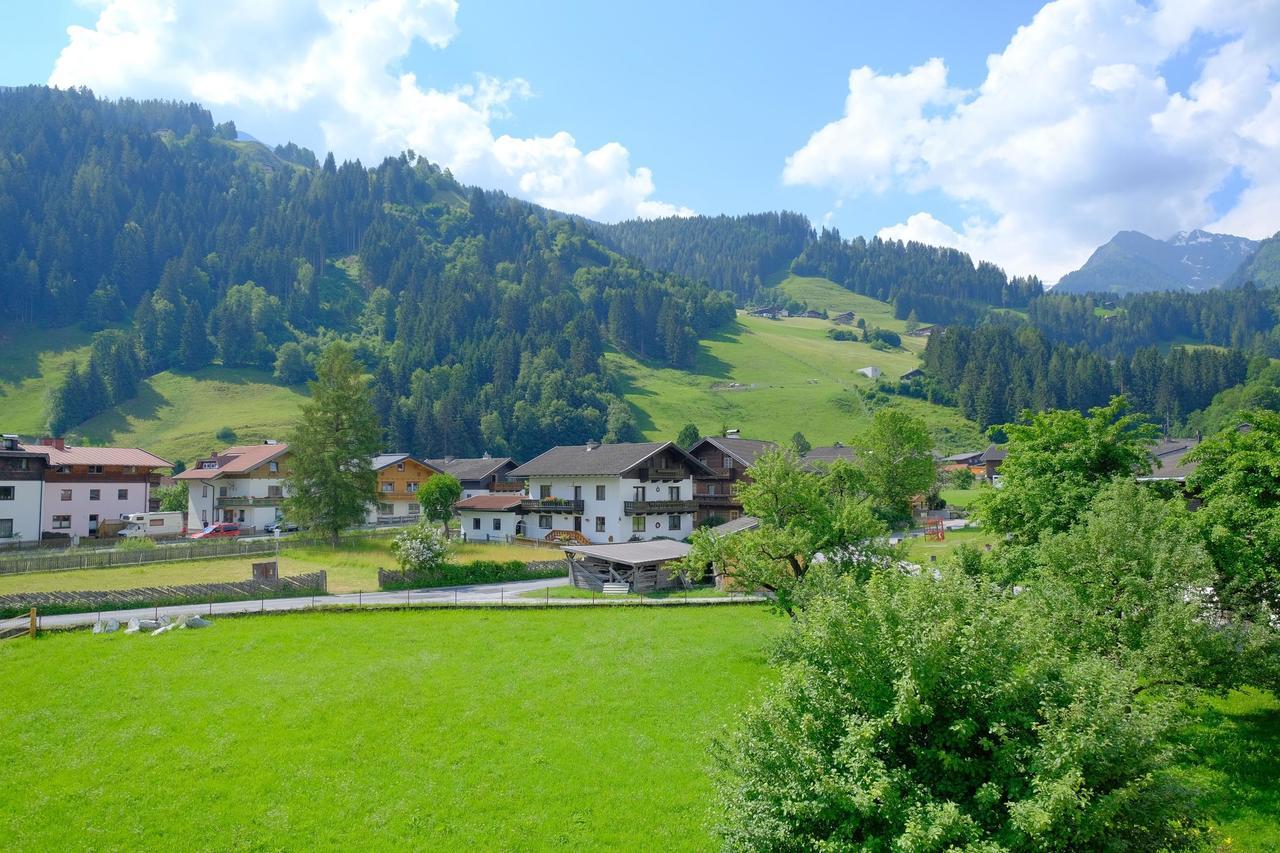 Ferienwohnung Alpin Penthouse Hollersbach Hollersbach im Pinzgau Exterior foto