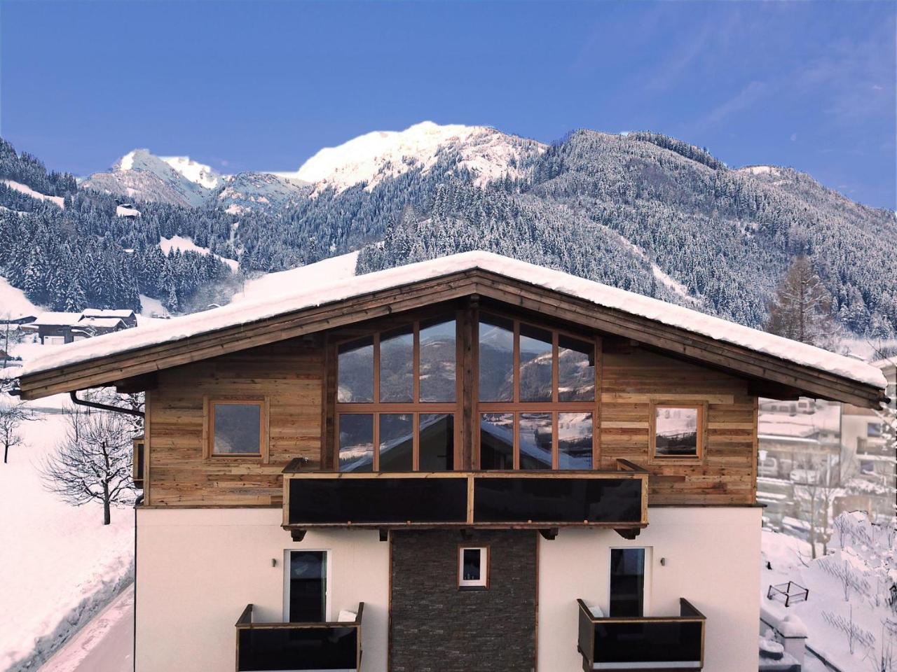 Ferienwohnung Alpin Penthouse Hollersbach Hollersbach im Pinzgau Exterior foto